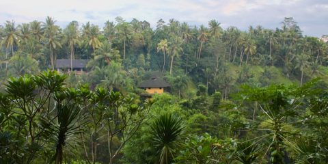 Graha Moding Villas (BALI)